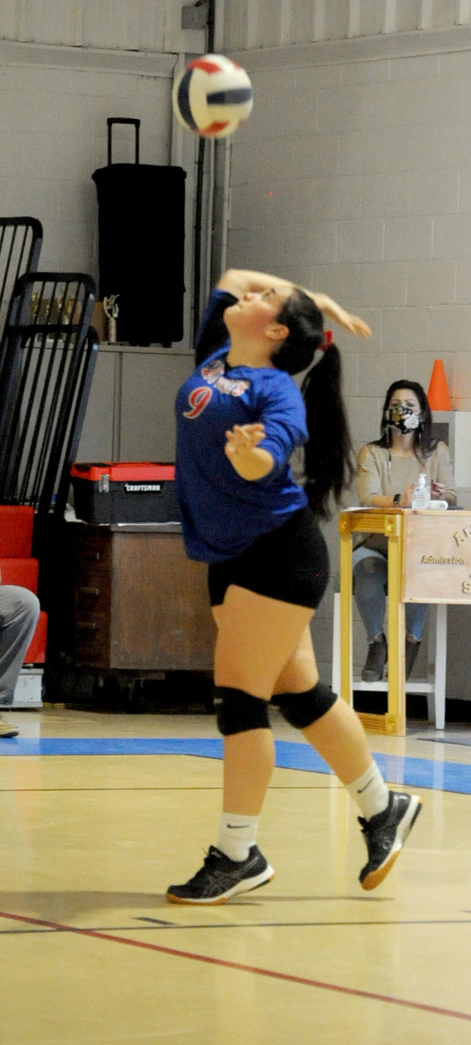 102020_eda_torres_albemarle_volleyball_terra.jpg
