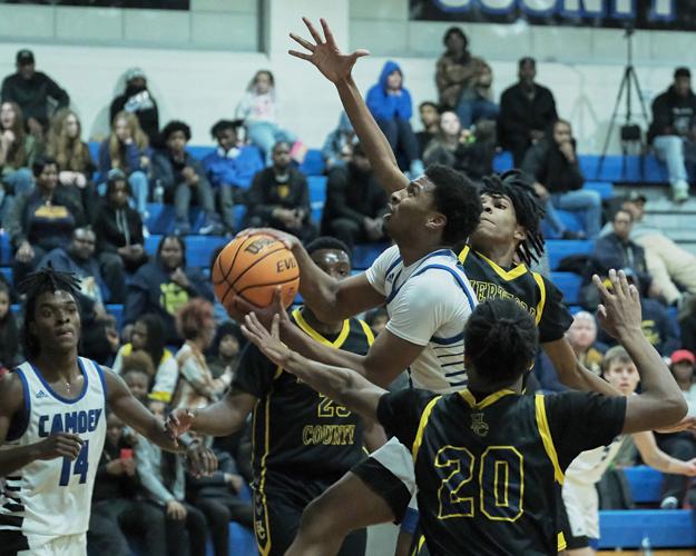Bruins hold off late Panther run for 60-57 win; Lady Panthers defeat ...