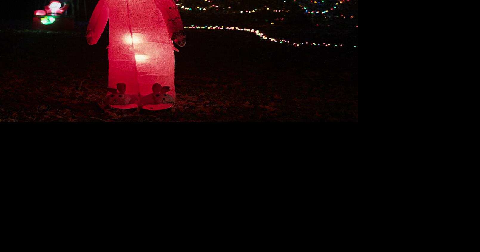 Dances Bay Christmas Lights