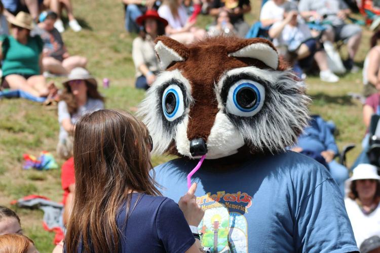 Merlefest Racoon Donna Davis: Language of the soul: Merlefest 2026 was 'a good ‘un ...