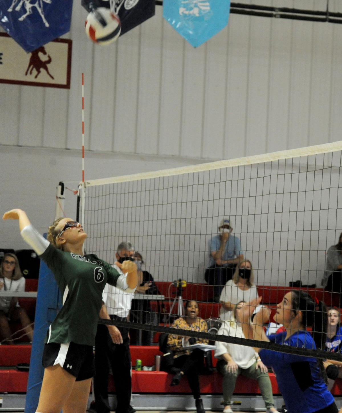 102020_eda_van_essendelft_volleyball_terra.jpg