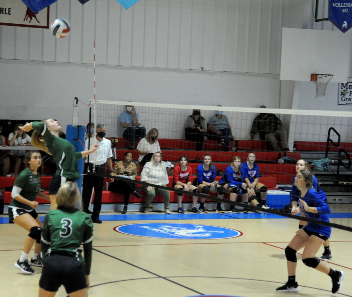 102020_eda_jordon_1_volleyball_terra.jpg