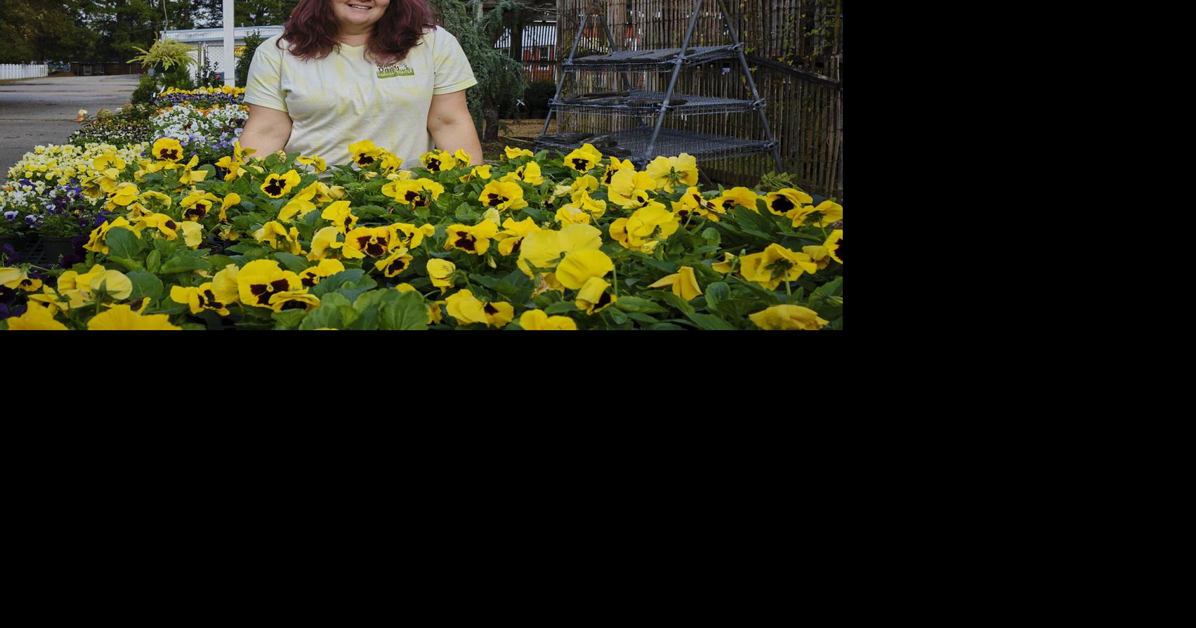 The Happy Daisy Garden Center blossoms at Kenyon Bailey Local News