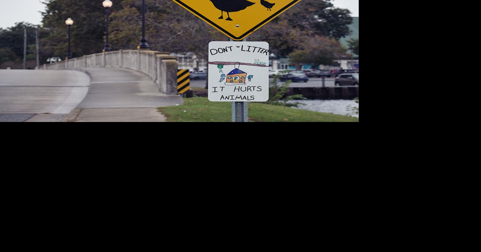 Green Saves Green hosting 8th annual Fall Litter Sweep