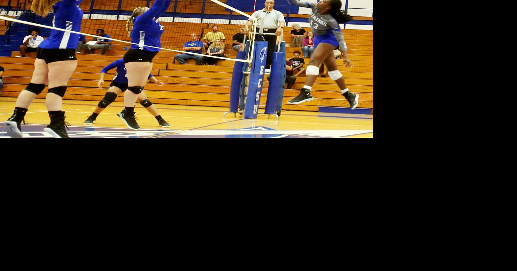 Area Roundup | ECSU volleyball defeats Catawba in four sets | Local ...