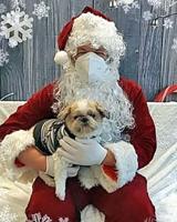 Photos with Santa to benefit senior dog sanctuary