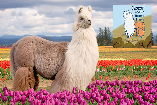 simply southern llama drama