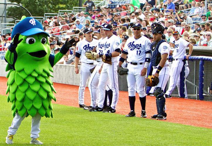 Fans of the Hillsboro Hops