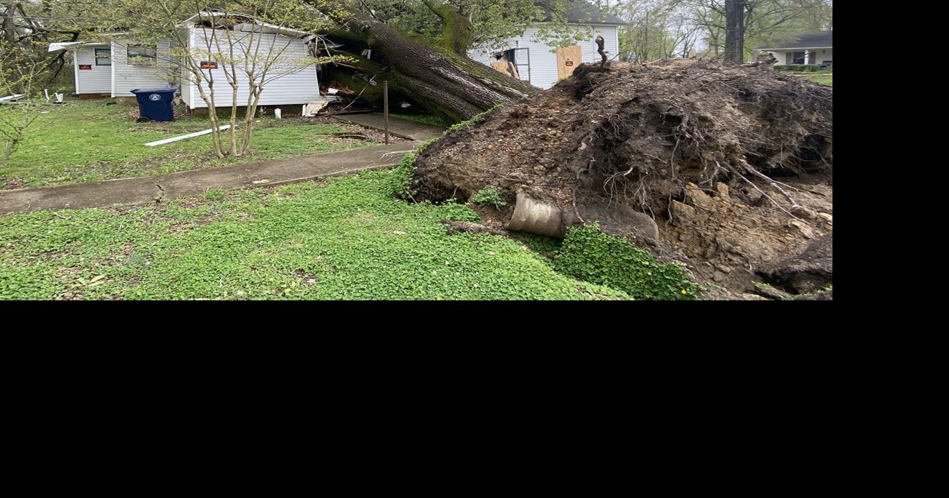 Tree crushes home, traps 89-year-old owner | News | dailycorinthian.com