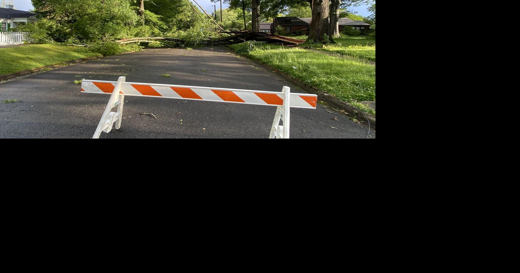 Storm knocks out power, downs trees | News | dailycorinthian.com