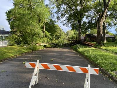Storm knocks out power, downs trees | News | dailycorinthian.com