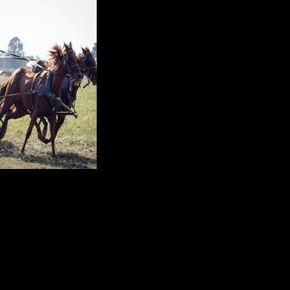 New wagon racing event to honor local world champion | News ...