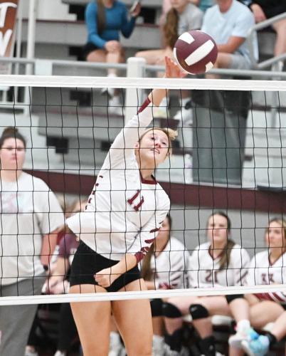 Lady Bears sweep Mooreville to reach third-straight North half finals ...