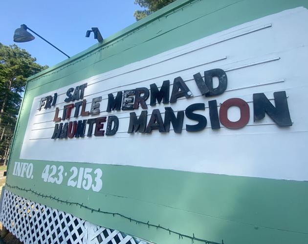 Movies under stars make return News