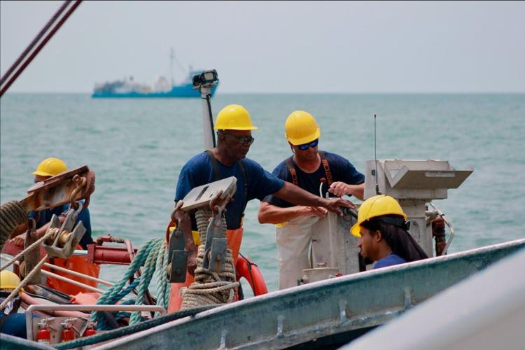 ASMFC Advances Menhaden Addendum for Public Comment Despite No Clear ...