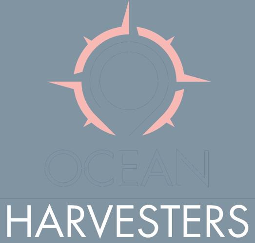 ASMFC Advances Menhaden Addendum for Public Comment Despite No Clear ...