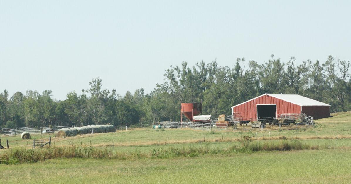 Lack of rain, high fuel prices impacting farmers
