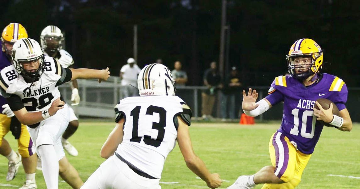 Read more Bears roll in shutout of Falkner