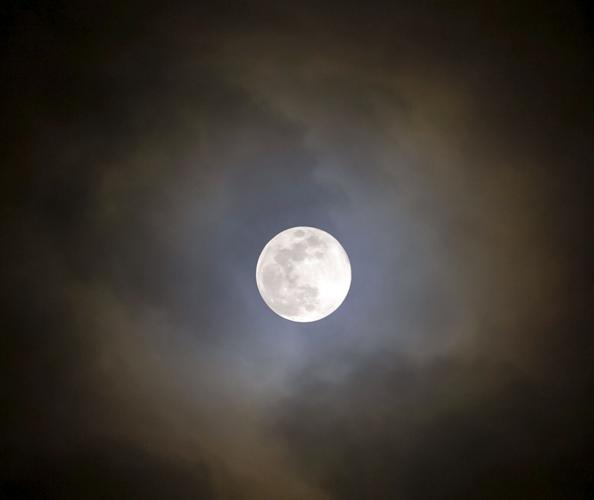 Locals enjoy views of 'cold full moon' | News | dailycorinthian.com