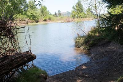 The Best Swimming Holes Near Eugene Arts Culture
