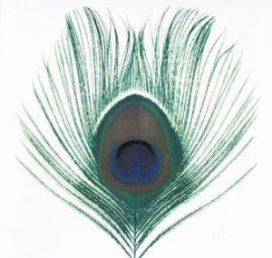 Long Awaited Xtc Release Looks Promising For Band S Future Dailynebraskan Com
