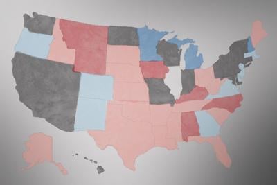 Key Primaries Set US Political Future