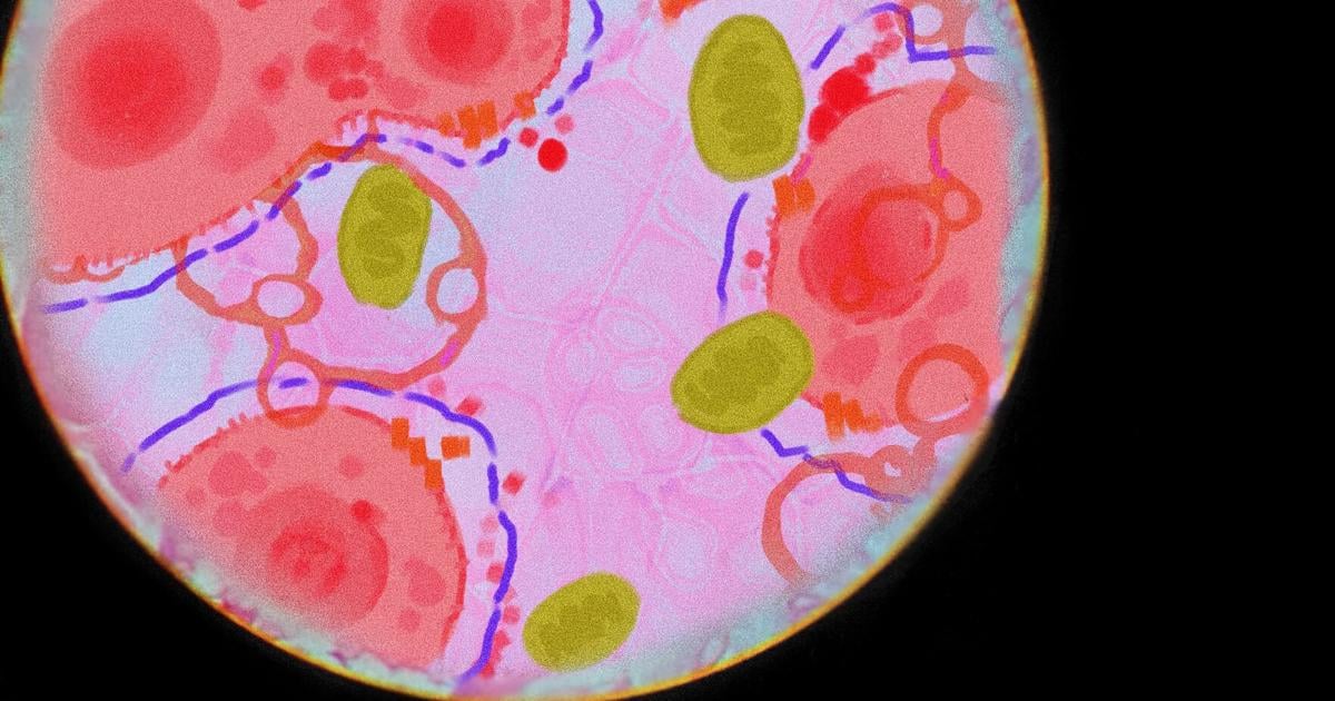 COLUMN: La cosa más importante que he aprendido como estudiante de biología