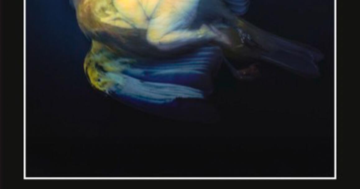 Majalah Sastra Kampus untuk Menyoroti Karya Sarjana Undergraduate