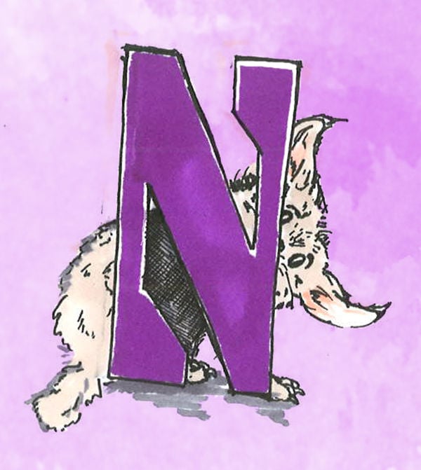 Northwestern Wildcats Cartoon Logo