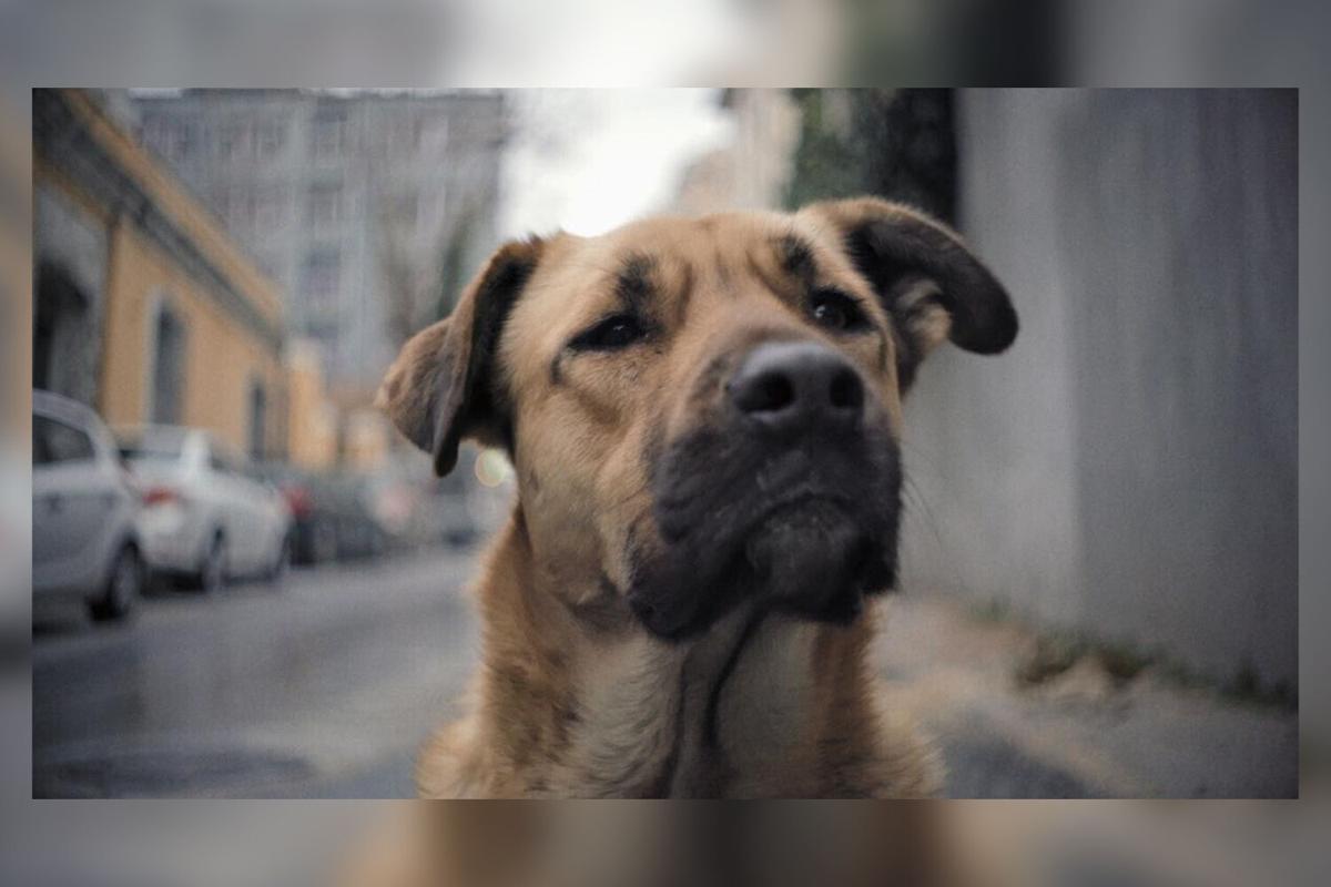 Pmtyinkm7dl6tm Why @applebees 2 for 20 went up $2 for half the portion. 2