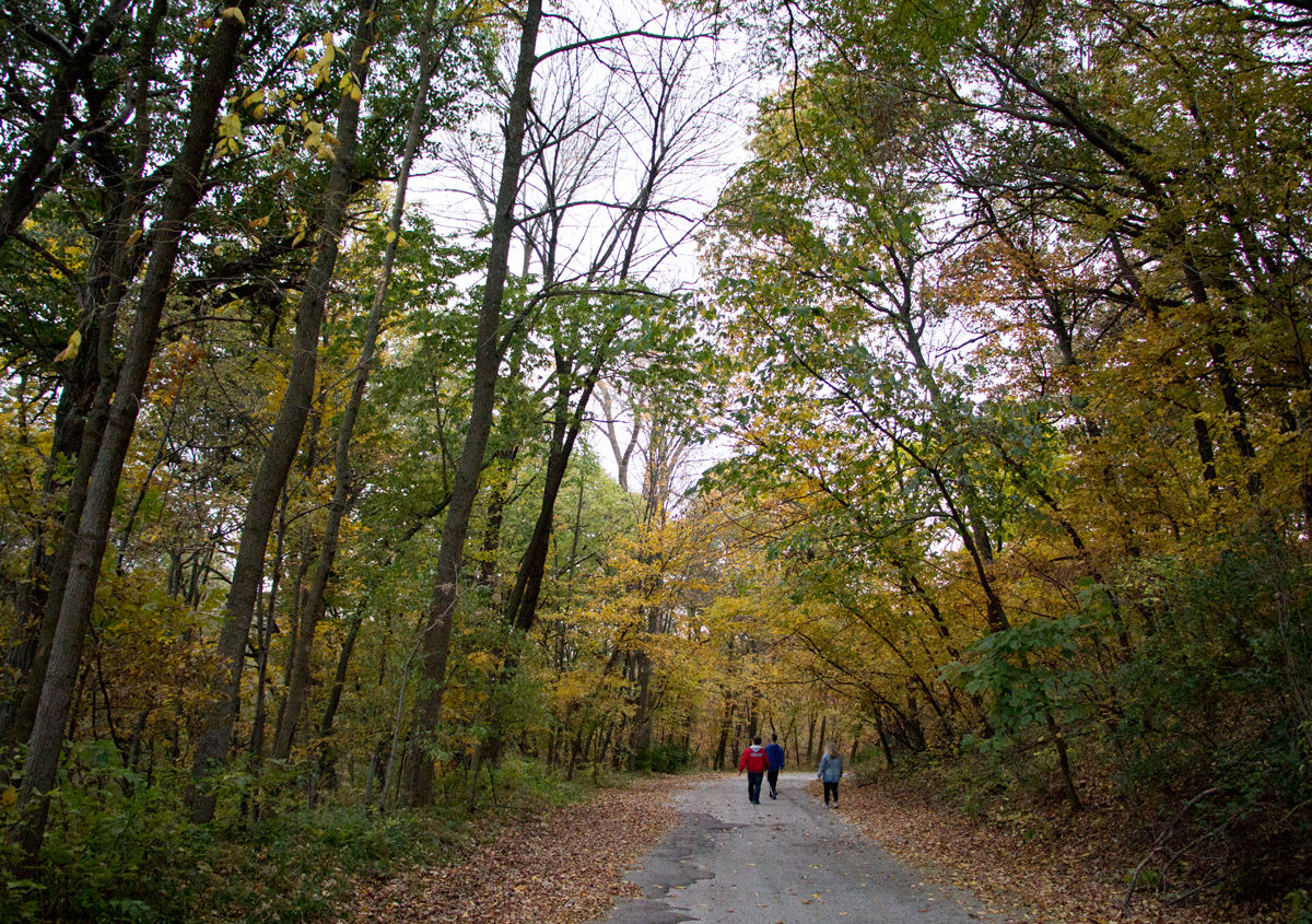 Hummel park walking 2025 trail