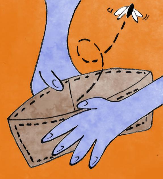 Lincoln Poverty Rises Huskers Pantry Aid Impoverished Students News Dailynebraskan Com