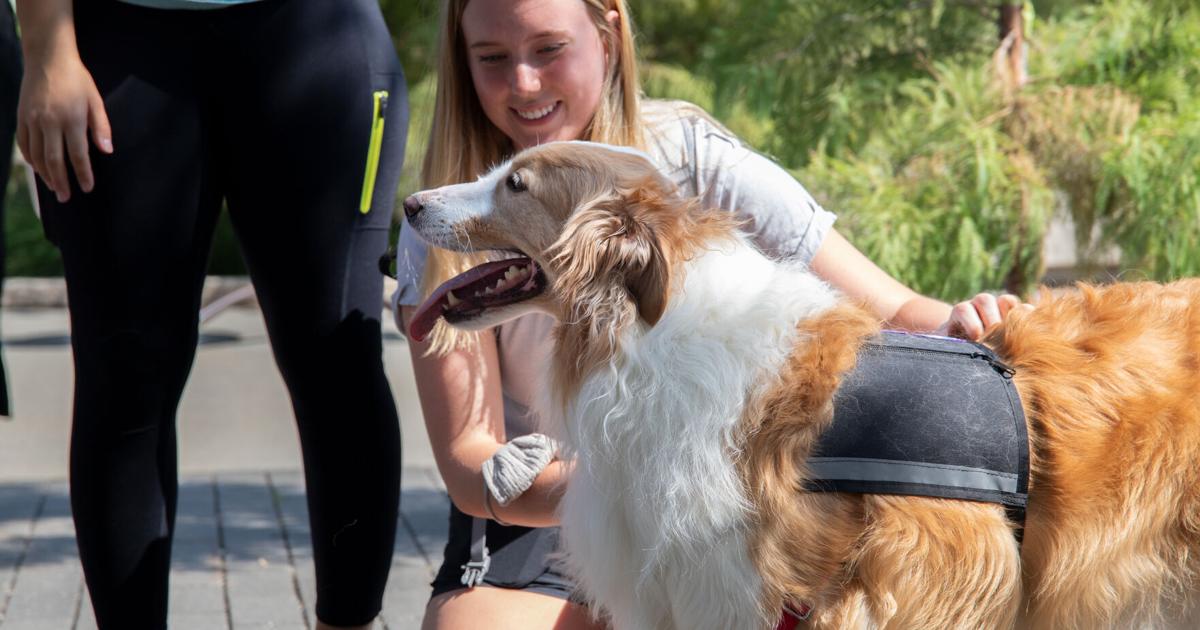 Prostitutes Hagen Anal Girl Hagen