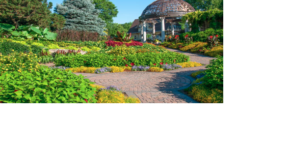 Things to do this weekend in Lincoln: Farmer's Market and more | Culture - Vimarsana News