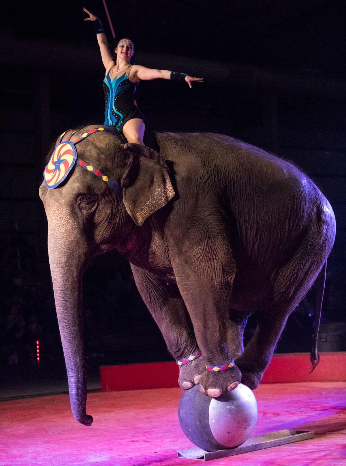 Shrine Circus entertaining for audience of all ages Culture