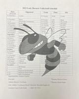 Lady Hornet Volleyball schedule