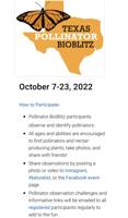 Texas’ Seventh Annual Pollinator BioBlitz is the Bee’s Knees!
