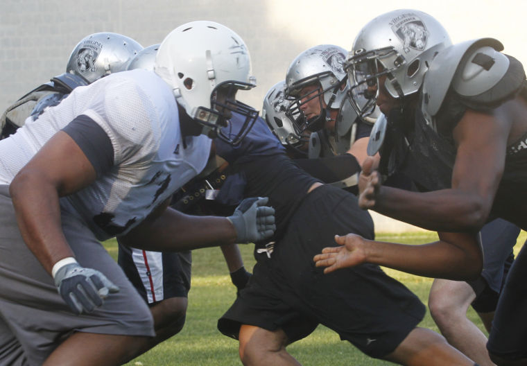 Virginia Silverbacks Semi-Pro Football Team