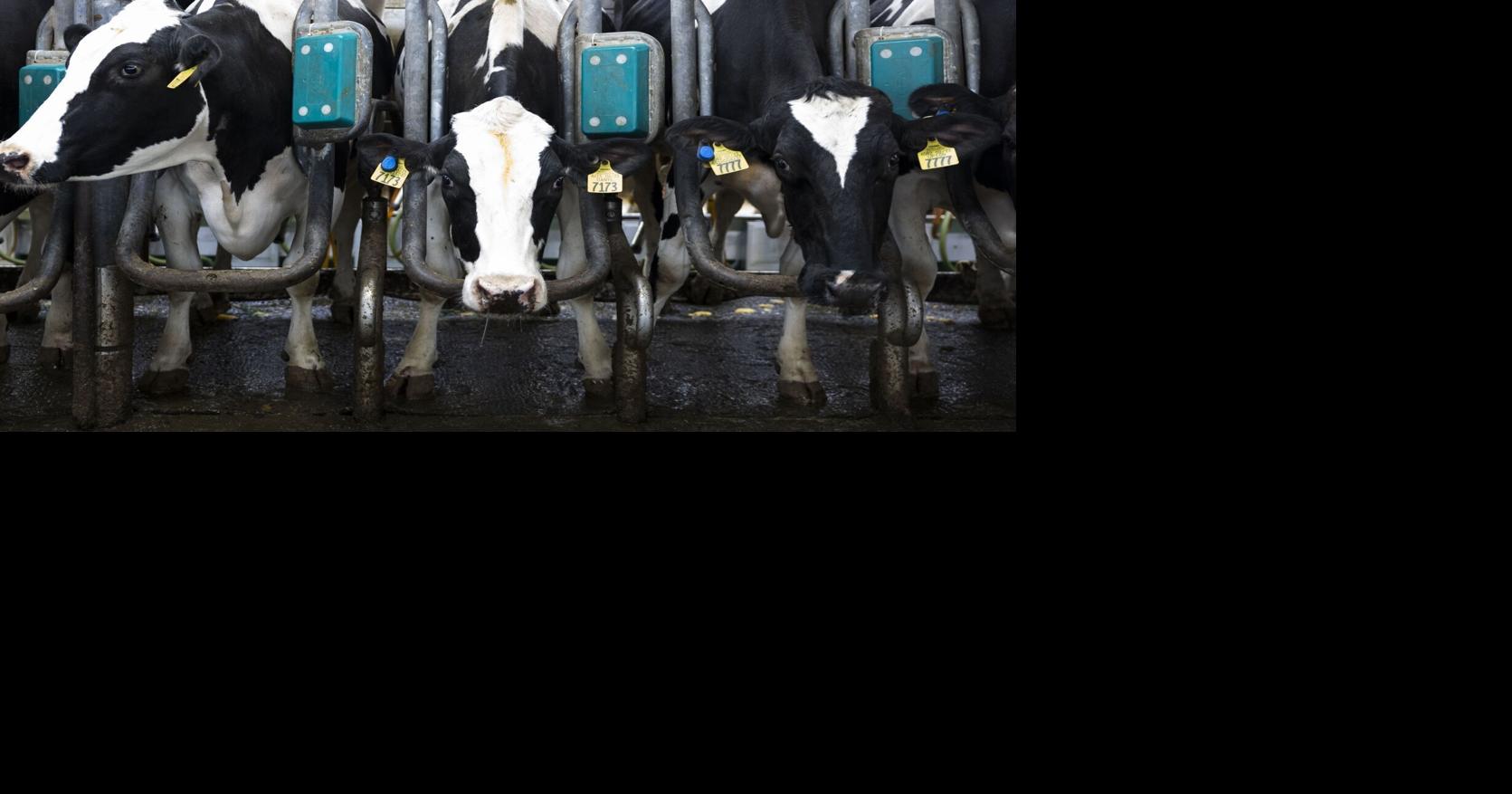 Less farmland is going for organic crops as costs and other issues take ...