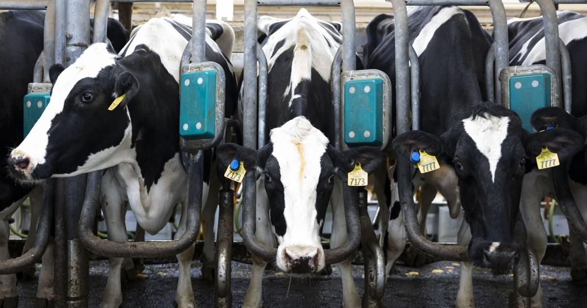 Less farmland is going for organic crops as costs and other issues take ...