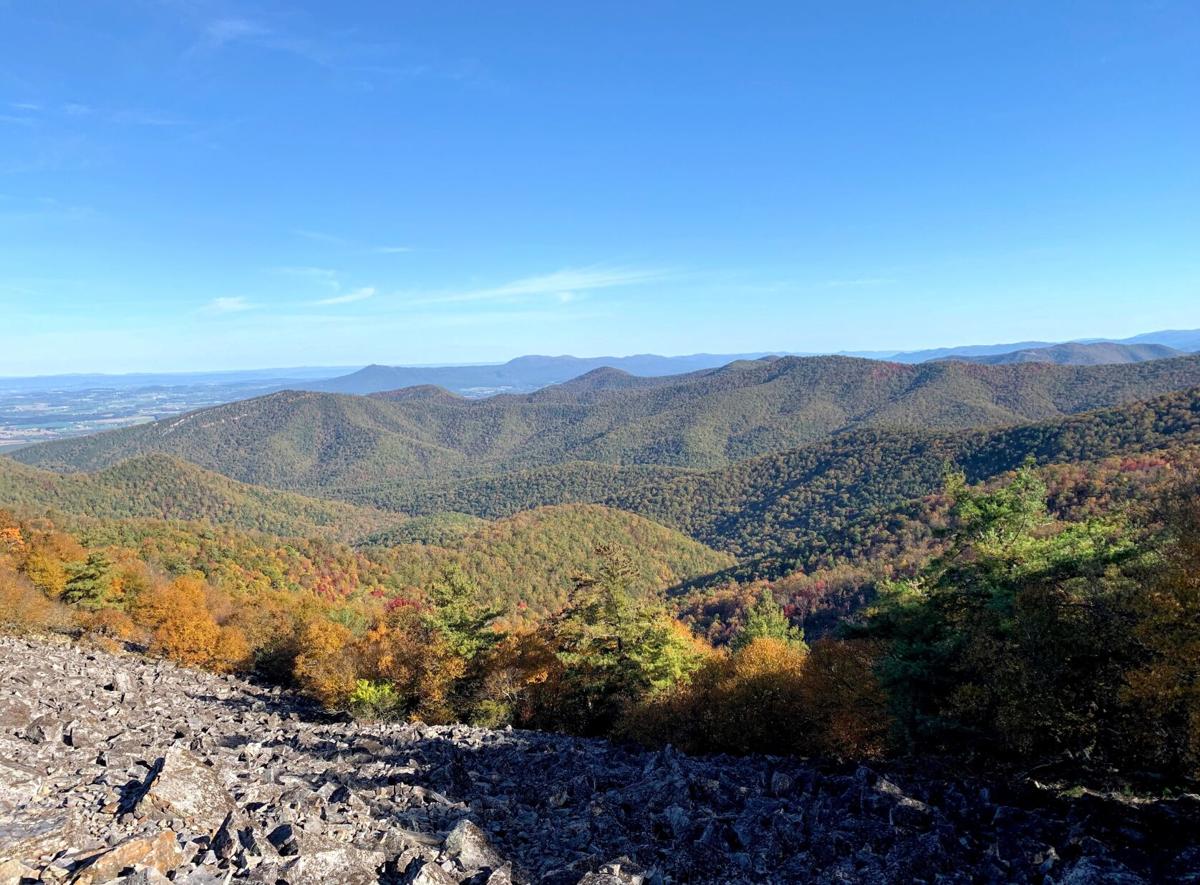 Shenandoah