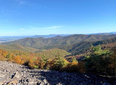 Shenandoah