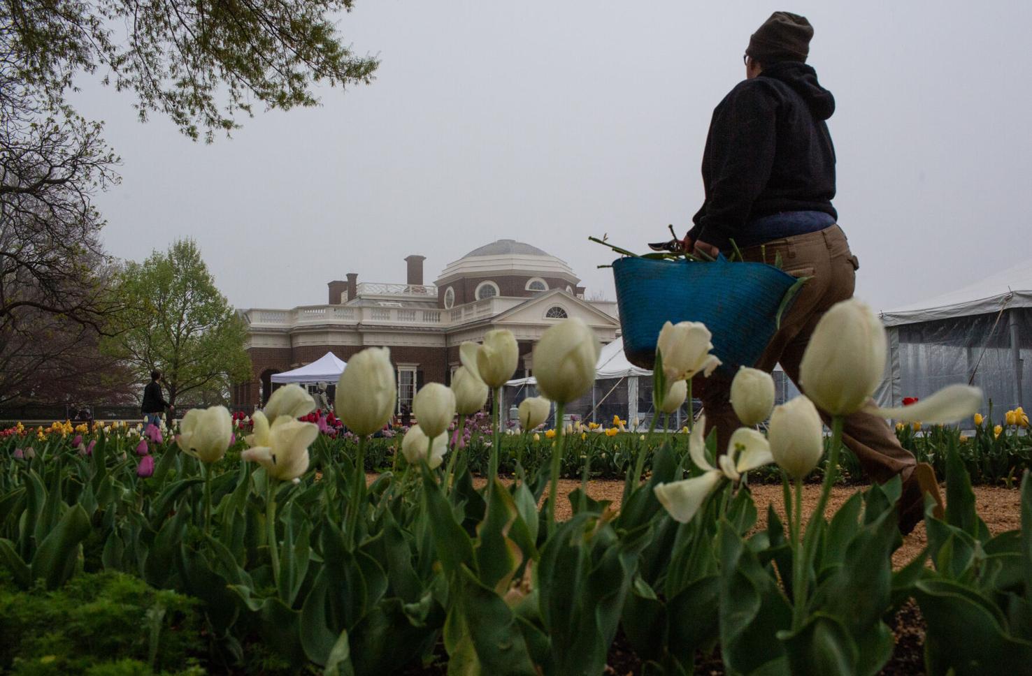 Monticello speaker series to resume with Judy Woodruff, Jamelle Bouie