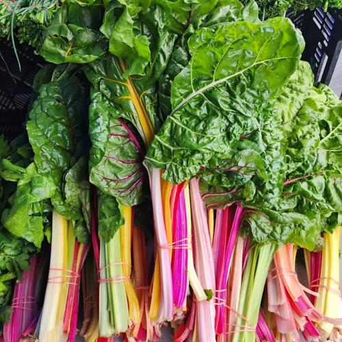 Charlottesville City Market 7.jpg