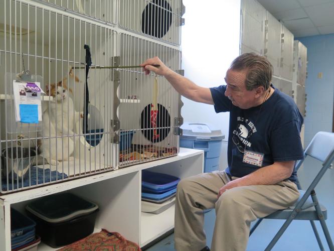 Volunteers make the difference at SPCA