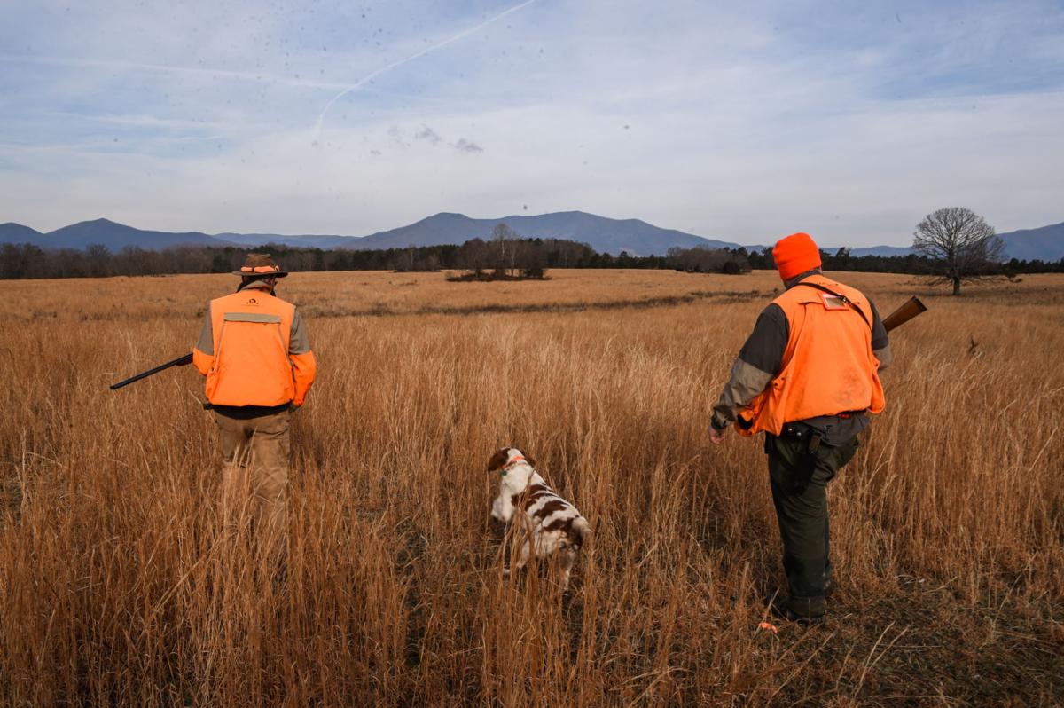 Nelson County preserve targets a fulfilling hunting experience