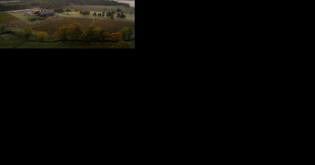 An homage to heritage and the hunt: Southwest Mountains Vineyards opens in Keswick - Vimarsana News