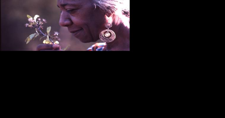 On 108th birthday, historic marker dedicated to Orange County native daughter and famous chef Edna Lewis - Vimarsana News