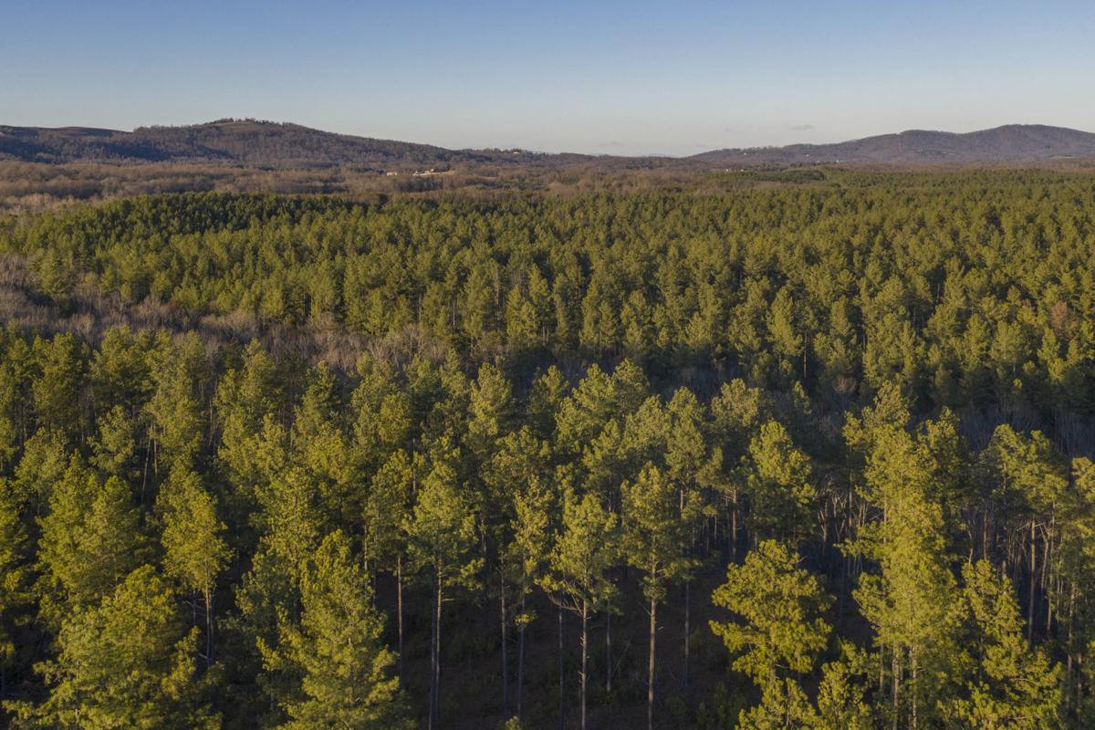 Morven drone photo