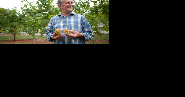 Monticello dismisses world-renowned winemaker and father of Virginia wine Gabriele Rausse - Vimarsana News